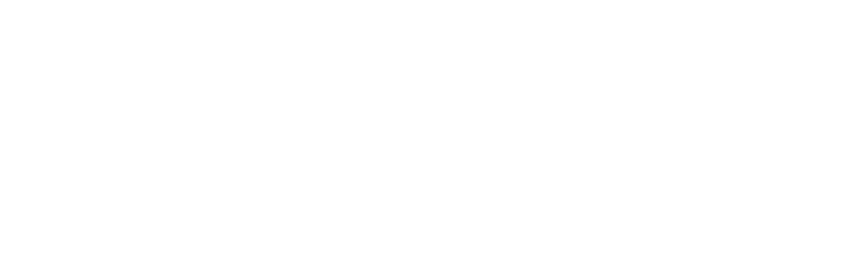 Lucy fashion footer logo